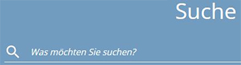 Eingabe in der Suchfeldfunktion